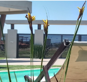 LOFT DE MAR – LA CALETA